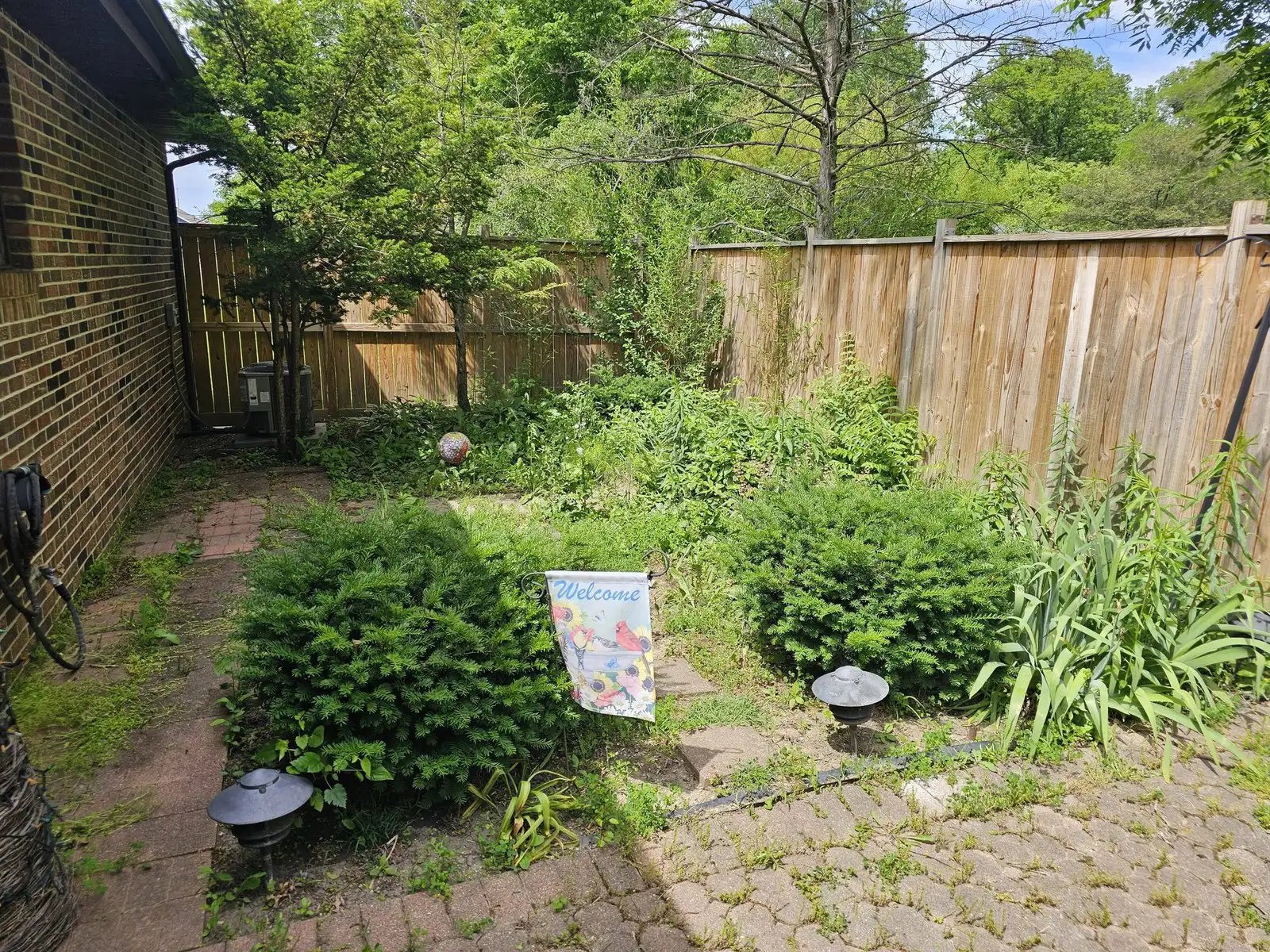 Before: fenced side yard, overgrown