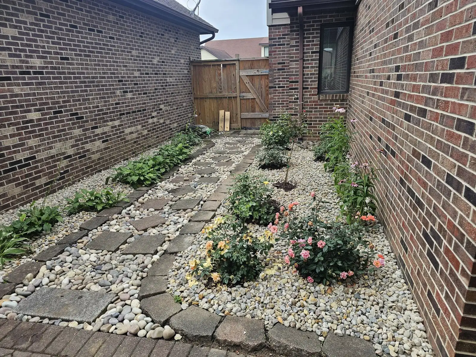 After: brick side yard, muncie, cleaned up and re-landscaped